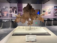 -北京周口店北京人遗址博物馆