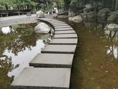-神仙树公园