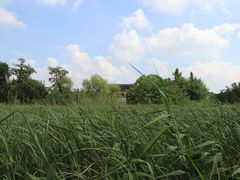 -梁鸿国家湿地公园