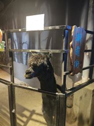 -酷嗒动物文化乐园(cutezoo西溪乐天城店)