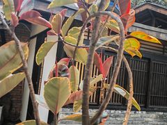 -院8里·小聚园老川菜(九眼桥店)