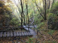 -吊水壶国家森林公园