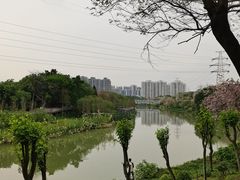 -广东花都湖国家湿地公园