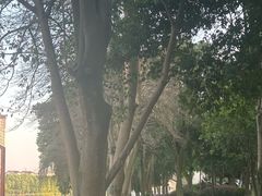 -眉山湿地公园(东坡区)