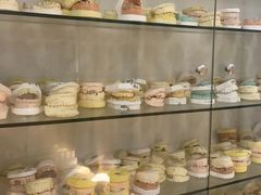 -赫尔森口腔·牙齿种植修复