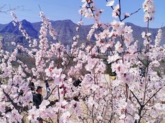 -白水寺森林公园