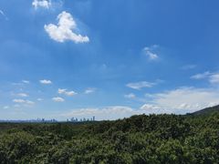 -灵谷景区