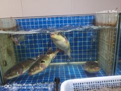 -两户人家农家乐