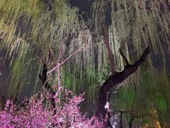 -解放阁