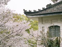 -武汉大学-樱园