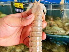 -渔中舟海鲜大排档(普陀沈家门店)