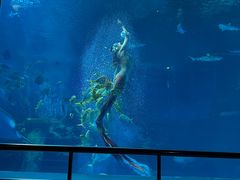 -太平洋海底世界