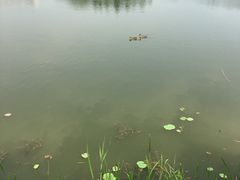 -江南大学(蠡湖校区)