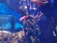 -多彩贵州城极地海洋世界