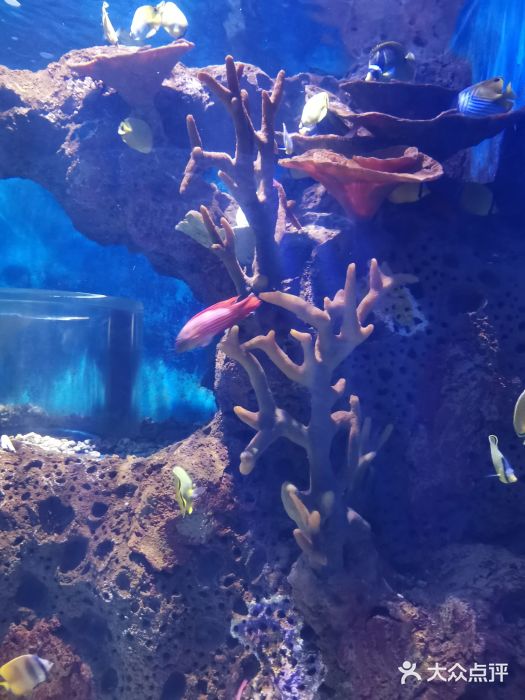 多彩贵州城极地海洋世界图片