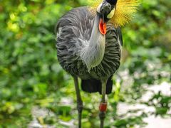 -常州淹城野生动物世界