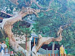 -夏阳湖皇冠假日酒店-中餐厅