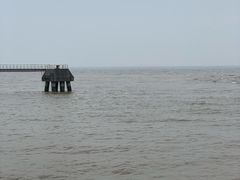 -平湖九龙山旅游度假区