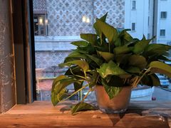 -泥糊破店小酒馆·团建聚餐(南京西路店)