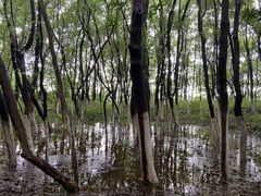 -艾溪湖湿地公园