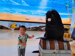 -三亚海昌梦幻海洋不夜城