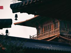 -广富林郊野公园
