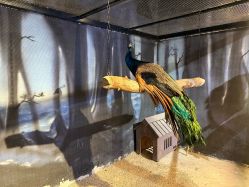 -酷嗒动物文化乐园(cutezoo西溪乐天城店)