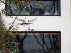 -青竺·青竹茶舍(断桥店)