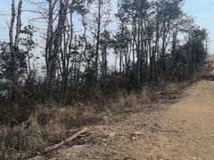 -青龙山国家森林公园