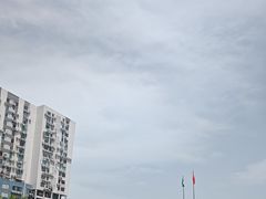 -金莲花广场