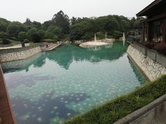 -上海月湖雕塑公园