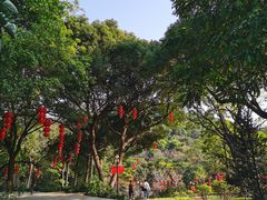 -云溪植物园
