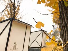 -百林公园-两江幸福广场