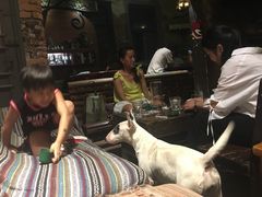 -爪哇空气酒吧