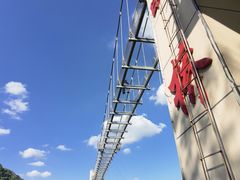 -客天下恐龙水晶玻璃桥