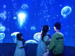 -江和美海洋公园