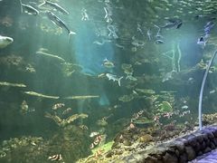 -华夏文旅海洋公园