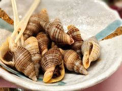 -黑松白鹿(金融街店)