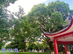 -君来湖滨饭店·玫瑰园