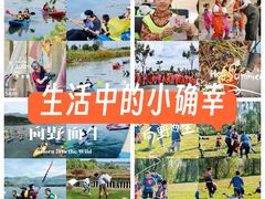 -上海山野camping·户外天幕烧烤·团建拓展营地