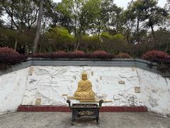 -大金鹰园