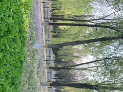 -东升八家郊野公园