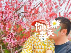 -永定河休闲森林公园