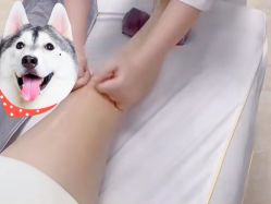 -芳香乐府疗愈空间·SPA·冥想