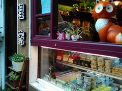 -狐狸家·酸奶酪专门店(平江路店)