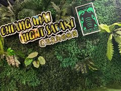 -清迈夜间动物园