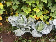 -会稽山峡洞漂流-上青古道