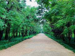 景点-日照海滨国家森林公园