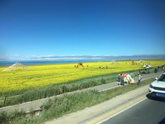 -青海湖国家重点风景名胜区