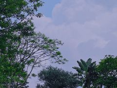 -白石龙音乐公园